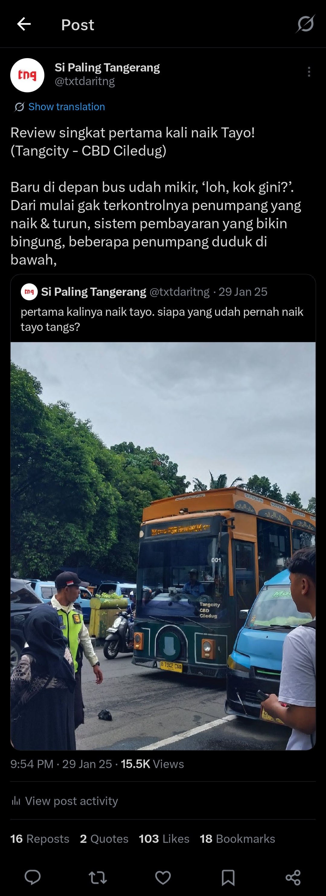 Review TAYO post